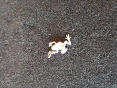 カエルのペンダントトップ