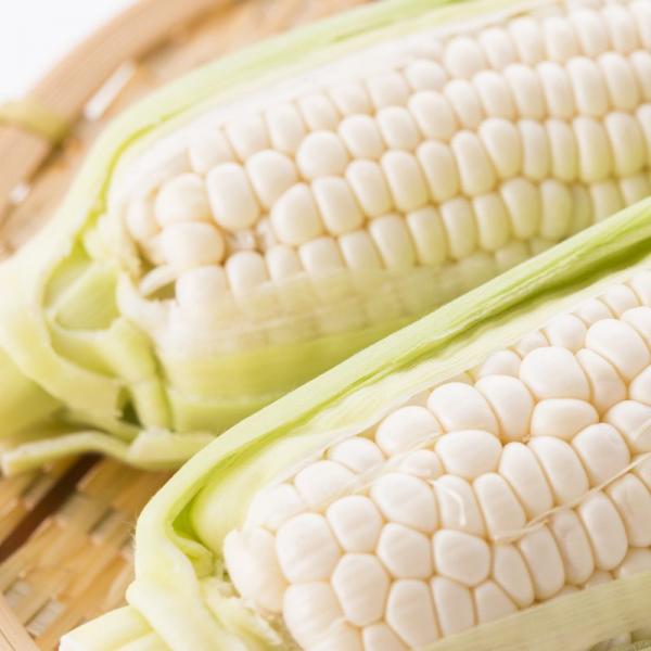 生でも食べれるとうもろこし　ピュアホワイト(送料込)