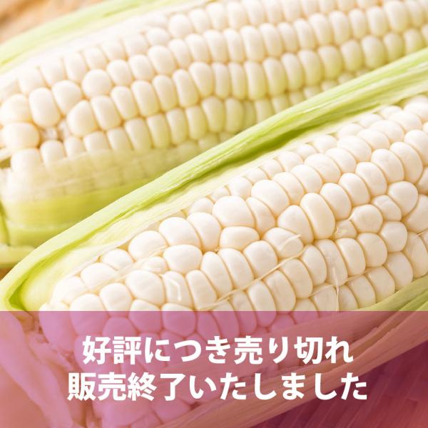 好評につき販売終了　生でも食べれるとうもろこし　ピュアホワイト(送料込)